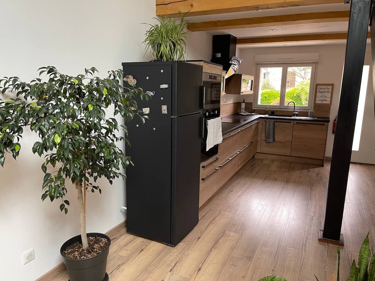 Cuisine équipée vue depuis le salon, réfrigérateur noir et grande plante